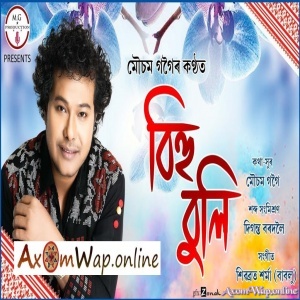 Assam bihu songs download